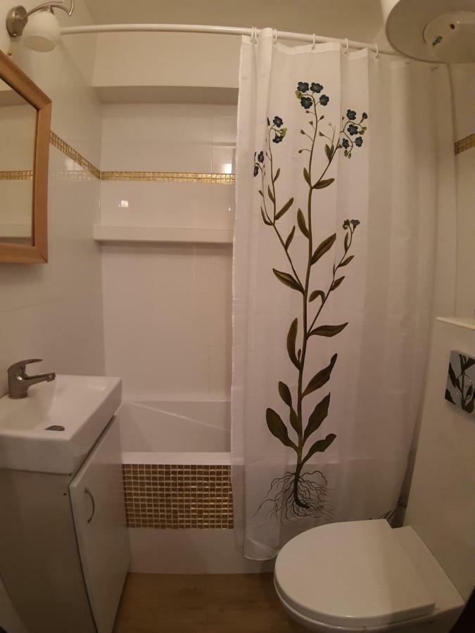 Apartament Beksa Διαμέρισμα Σάνοκ Εξωτερικό φωτογραφία